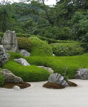 Damien Leclerc Paysage EIRL image 1