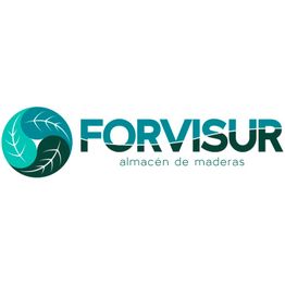 Forvisur-logo-1.png