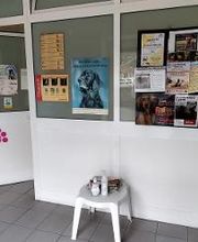 Ambulatorio Veterinario Costa D'Argento - Porto Santo Stefano immagine 2