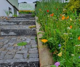 Küng Garten AG Bild 3