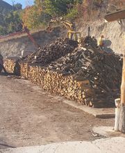 De la forêt aux hommes Ent. Lattanzi Giusto image 1