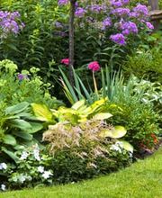 Strickler Blumen & Gärten AG Bild 11