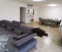 Klaus Rund Um Das Haus Bild 6