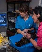 CLINIQUE VETERINAIRE DE LA VALLEE image 18