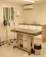 clinica-veterinaria-gospuntgat-sala-04.jpg