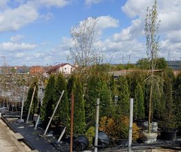 Kienzle Garten GmbH Bild 10