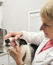 South Putnam Animal Hospital image 2