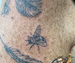 Nottam'ink image 10