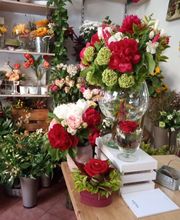 Gallery Cliente