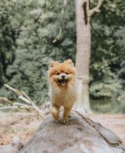 Bestattungshaus Paul & Baar - Mittweida Bild 8