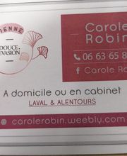 Robin Carole image 3