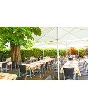 Landgasthaus-Hotel Maien Inh. Oliver Börner Bild 3