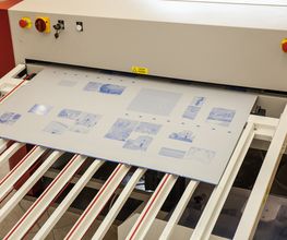 Gallery Professionale