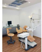 Steininger Sabine Dr. Bild 7