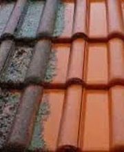 Jordy entretien image 3