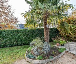 Jardin Services EURL image 16