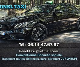 Taxi Lionel image 3