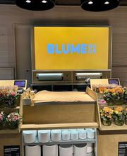 BLUME2000 Darmstadt Bild 5