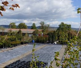 Kienzle Garten GmbH Bild 15