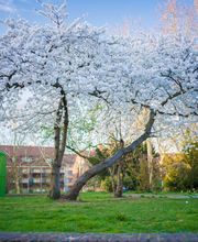 Eichinger Immobilien Bild 12