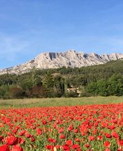 Jucory Gestion image 3