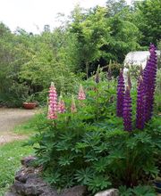 Arborie Parcs Et Jardins image 7