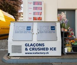 Shell Bild 5