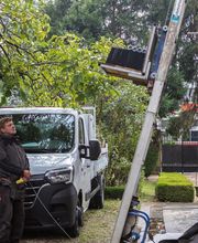 Dejoie Couverture image 8