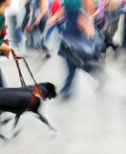 Schweizerische Caritasaktion der Blinden (CAB) Bild 2