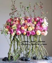 Fleurs Campagne Valérie Bauer image 5