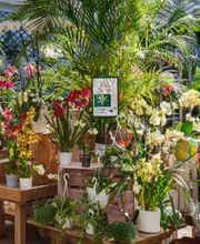 Burnier Garden Centre de Lavaux Bild 1