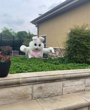 Amity Hospice image 12