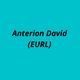Anterion David