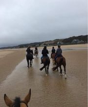 Centre Equestre De Sully image 9