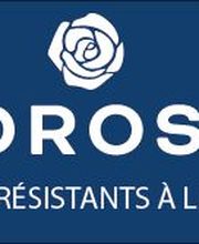 Pepinieres de Saint Lambert image 4