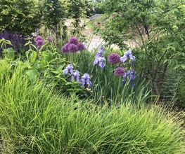 Gartengestaltung Nickerl Bild 5