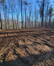 Happy Stump Tree Service image 17