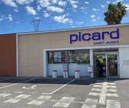 Picard image 3