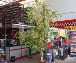Gallery Cliente