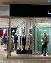 Overall View - Windows (Hero Image)