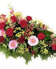 Jardins Divers image 7