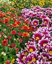 Bricomarché Brou image 9