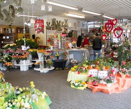 Blumen Barrey Bild 2