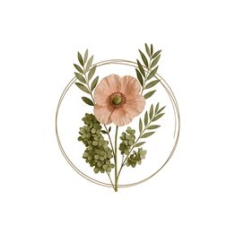 Rosa Amapola