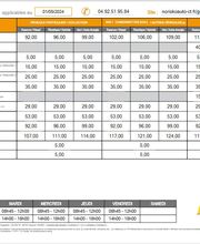 NORISKO Gap - Contrôle technique Automobile image 7