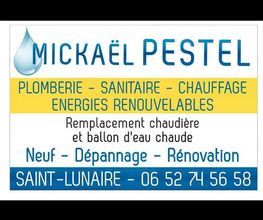 Pestel Mickael image 5