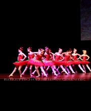 Ballettschule Samson Cabantac Bild 4