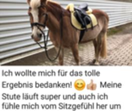 IP-Horsepower Immo Peltzer Bild 3