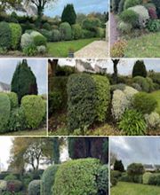 JDURAND PAYSAGE image 1