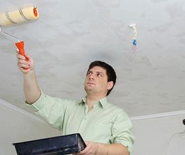 Repse Application image 1